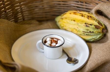 Cozy setup of hot chocolate with marshmallows in a white enamel cup next to a yellow cacao pod.