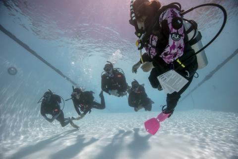 Discover scuba diving 1