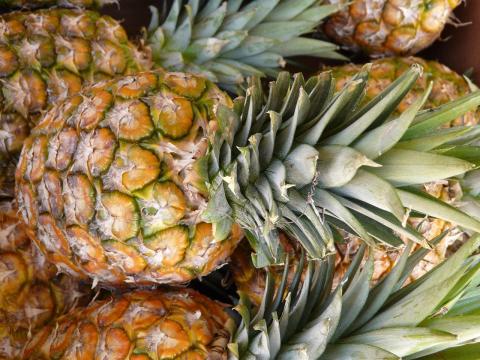pineapple-5794_1280
