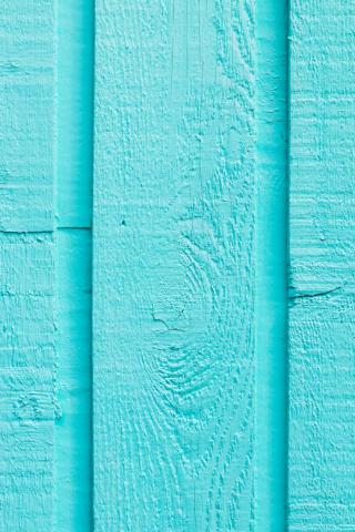 photo-1631117825216-46ea5c24eea9