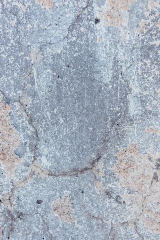 premium_photo-1675738773946-8f6a24d66a60