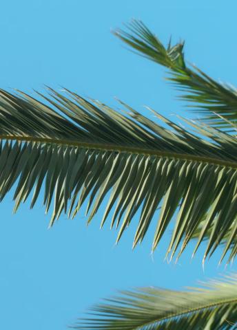 premium_photo-1681553338885-6c55e47e590a