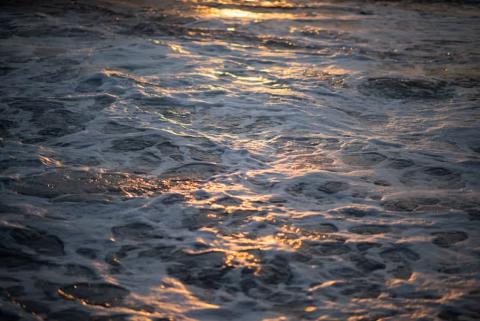 premium_photo-1669750792014-33cfa325fadf