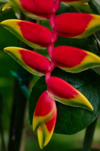 premium_photo-1663962716042-6e3e6090c70e