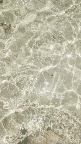 photo-1550784164-91fcd7d1e616