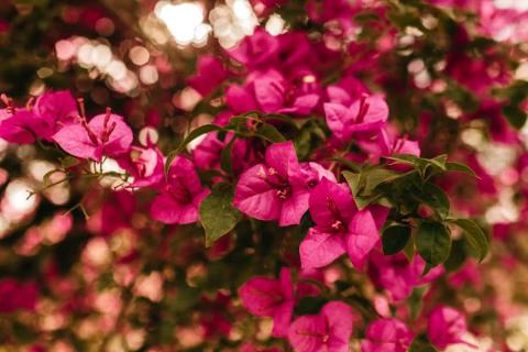 premium_photo-1666323007876-3714e9343552