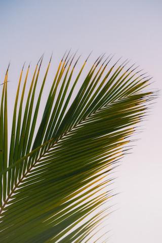 premium_photo-1682708140113-67b7d1768a76