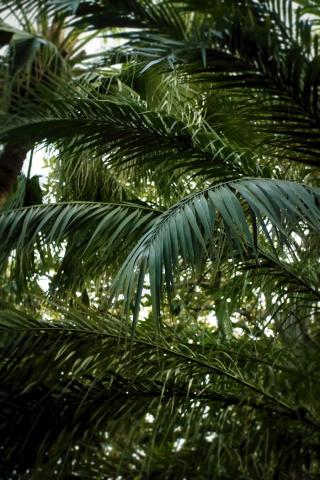 premium_photo-1682412488897-276f65c3fb67