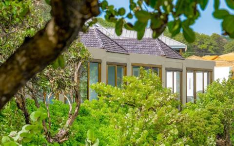Modern single-story building with large windows nestled in lush greenery