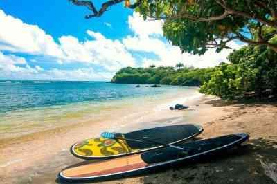 Serene beach with two colorful paddleboards, lush trees, and calm waters, perfect for relaxing.