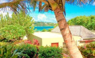 Tropical scene with palm tree, house, and blue bay surrounded by hills
