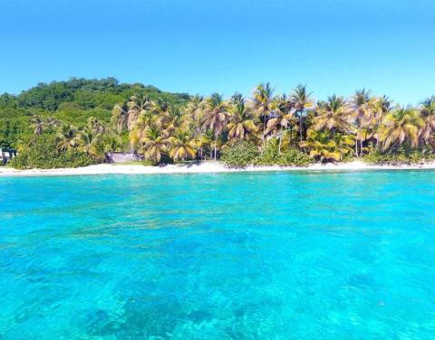 Secluded tropical beach with palm trees, white sand, and clear turquoise waters