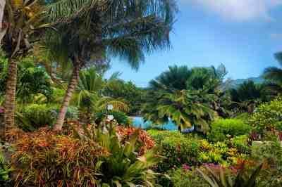Lush tropical garden with palm trees, colorful flowers, and a glimpse of blue water