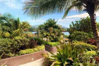 Lush tropical garden with palm trees and distant water view on sunny day
