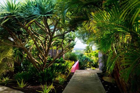 Lush tropical garden pathway with palms, agaves, and distant hill view.