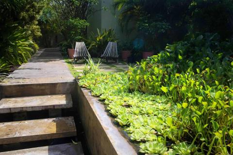 Tranquil garden with water feature, lush plants, and seating area for relaxation