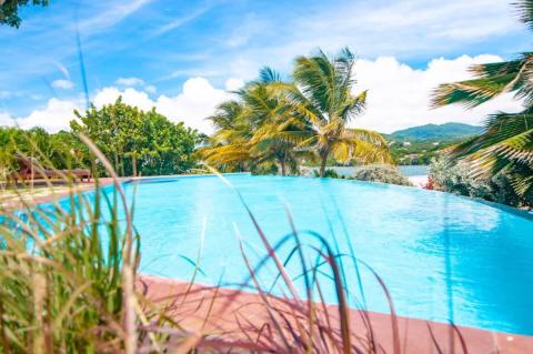 Infinity pool with palm trees overlooking lush hills under a clear blue sky