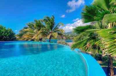 Luxury infinity pool with turquoise water flanked by palm trees and a lush hill backdrop.