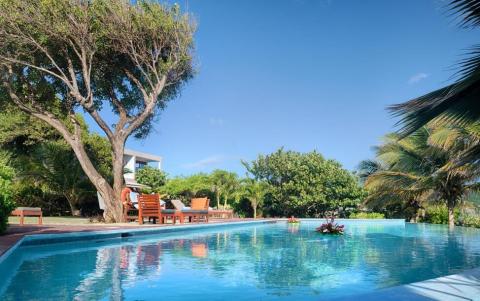 Luxurious tropical resort swimming pool with red foliage and modern villa.
