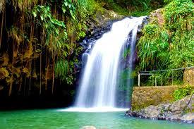 Serene waterfall cascading into a green pool, surrounded by lush vegetation and a stone structure.