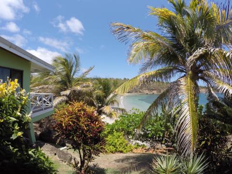 Tropical beach cove with green house, palm trees, and turquoise waters under clear blue sky