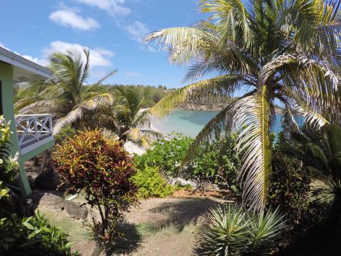 Tropical beach view with palm trees, sea peek, and resort building