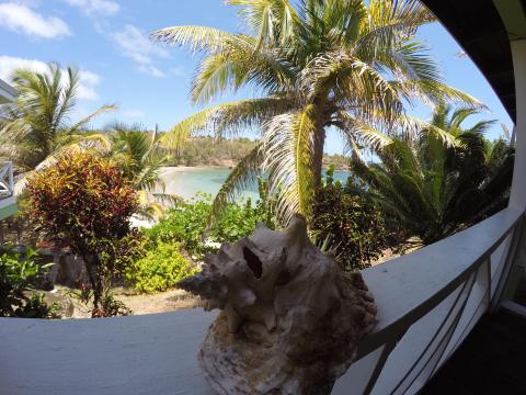 Tropical beach view from balcony with shell on railing