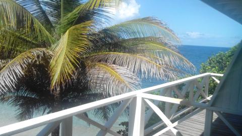 View from balcony with white railings overlooking palm trees and blue sea on sunny day
