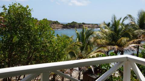 Scenic coastal view from balcony with lush foliage and calm sea.