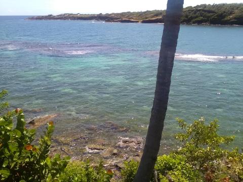Scenic coastal view with turquoise waters, rocky shores, and lush greenery under a clear blue sky
