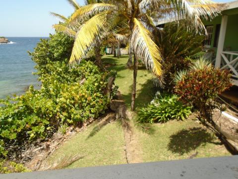 Tropical seaside view with lush greenery and a green building by the shore