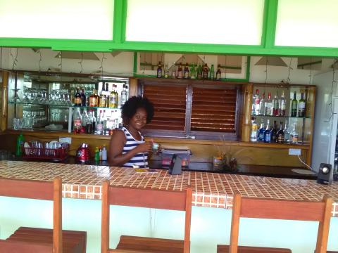 Cheerful bartender at cozy bar with diverse spirits and beers, inviting ambiance.