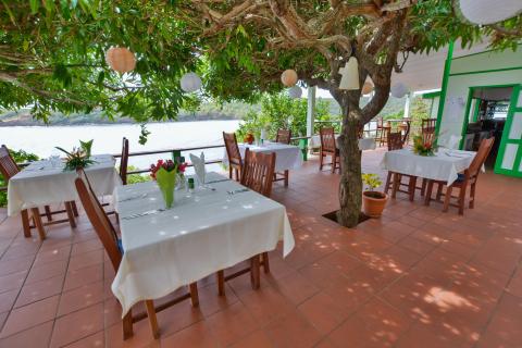 Outdoor dining scene with tables by water, shaded by tree with lanterns
