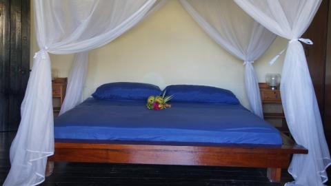 Cozy bedroom with dark blue sheets, white mosquito nets, and vibrant flowers on bed