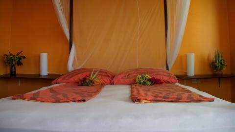 Cozy bedroom with orange wall, white canopy bed, and decorative shelves