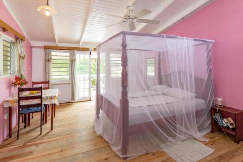 Cozy tropical bedroom with pink walls, white bed netting, and balcony view.