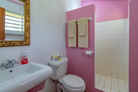 Bathroom with white fixtures, pink walls, beige towels, and window.