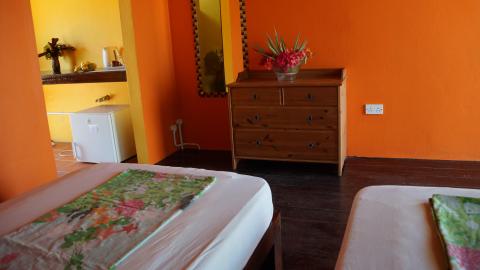 Cozy room with orange walls, wooden dresser, and floral accents for decor.