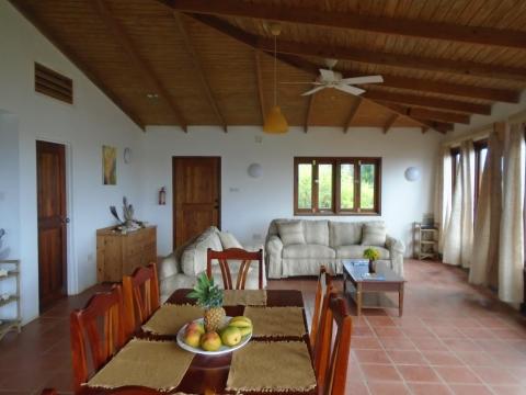 Spacious living room with wooden ceiling, dining area, and plush sofa near window.
