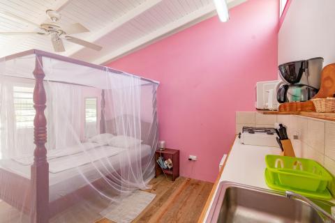 Vibrant tropical bedroom-kitchenette with mosquito net and pink walls.