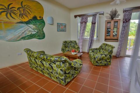 Bright living room with tropical mural, patterned sofa, and purple curtains