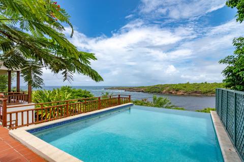 Luxurious pool with sea view, wooden deck, and lush tropical plants