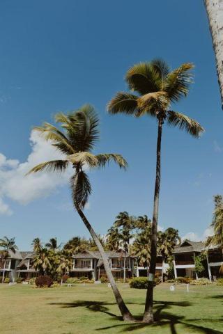Tropical resort with palm trees and traditional roofs under blue sky
