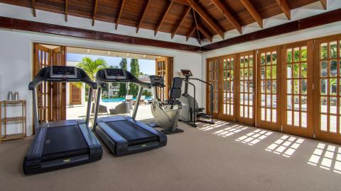 Modern home gym with treadmills, bike, natural light, and outdoor view.