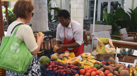 Cayman Tourism Board Tropical Delights: A Colorful Encounter at the Local Produce Market This image shows a marketplace scene where a vendor (wearing glasses and a red apron) is interacting with a customer