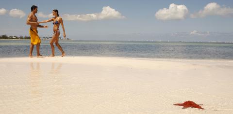This image features a man and a woman standing on a sunlit white sandy beach, holding hands and smiling at each other