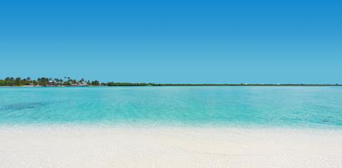 Cayman Tourism Board Serene Paradise: Tranquility at a Secluded Tropical Beach The image depicts a beautiful tropical beach scene