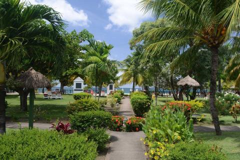 Tropical beach pathway with lush gardens, palm trees, and ocean view