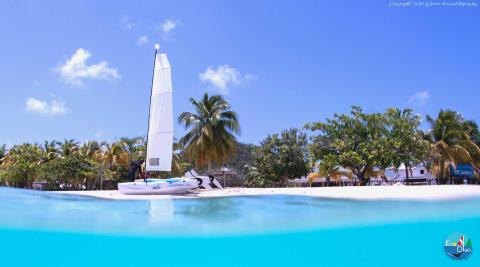 White sailboat near sandy beach with lush palms under clear blue sky, split water view.