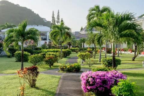 Tropical garden with lush lawns, vibrant flowers, and palm trees near white buildings.